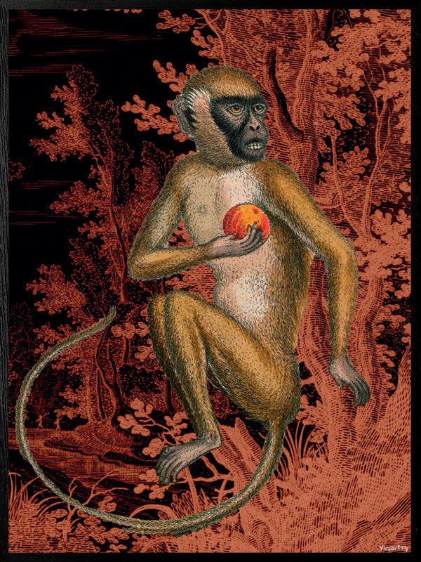Plakat - Monkey orange #PSC174 – VanillaFly