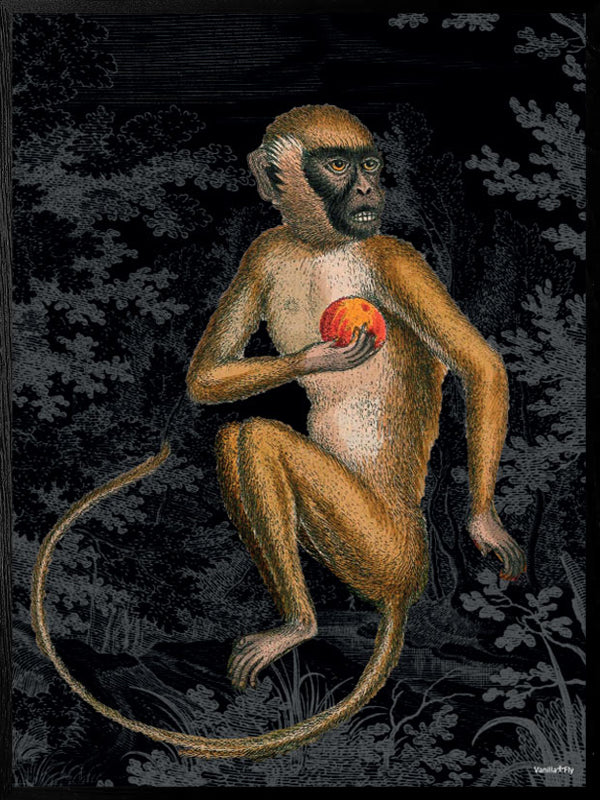 PLAKATER, vanillafly, vanillaflydk, gallerivæg, retrotryk, retroplakater, plakater, flotteplakater, artprints, designprint, billedvæg, flotteplakater, kunst, kunsttryk, gallerikunst, vægkunst, plakatertilsalg, posters, poster, retroposter, retro, art, artprints, artprint, interior, interiordesign, galleryart, botanicalposter, botanicalillustration, gallerywall, wallart, botanicalprint, botanicalart, homedecor, tropicalprint, tropicalart, floralprint, floralart, floralprints, walldecor, artwork wallspace, st