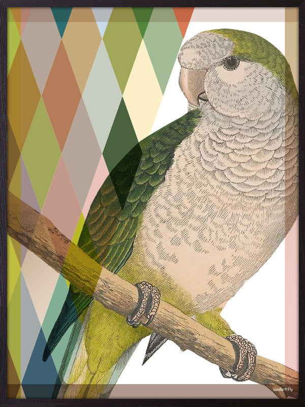 PLAKATER, vanillafly, vanillaflydk, gallerivæg, retrotryk, retroplakater, plakater, flotteplakater, artprints, designprint, billedvæg, flotteplakater, kunst, kunsttryk, gallerikunst, vægkunst, plakatertilsalg, posters, poster, retroposter, retro, art, artprints, artprint, interior, interiordesign, galleryart, botanicalposter, botanicalillustration, gallerywall, wallart, botanicalprint, botanicalart, homedecor, tropicalprint, tropicalart, floralprint, floralart, floralprints, walldecor, artwork wallspace, st