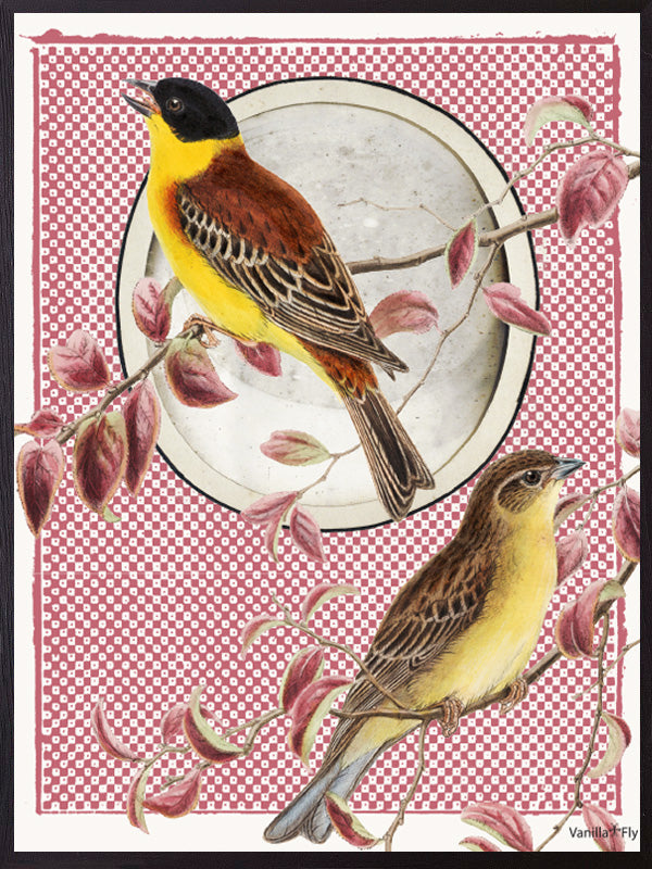 VanillaFly plakater, flotte plakater, moderne plakater, plakater på nettet, plakater online, plakater til salg, køb plakater online, plakater med tekst, plakater natur, designplakater vintageart, plancher, plakat, tavlor, kunstprint, dekorativ, kunst, billede, print, kunstprint, indrammet kunst, vægdekoration, væg dekoration, kunstprint, indrammede plakater, dekorative plakater, vægpynt, billige plakater, scandinavian design plakater, skandinavisk design, skandinavisk, nordic, nordisk, nordisk design, plaka