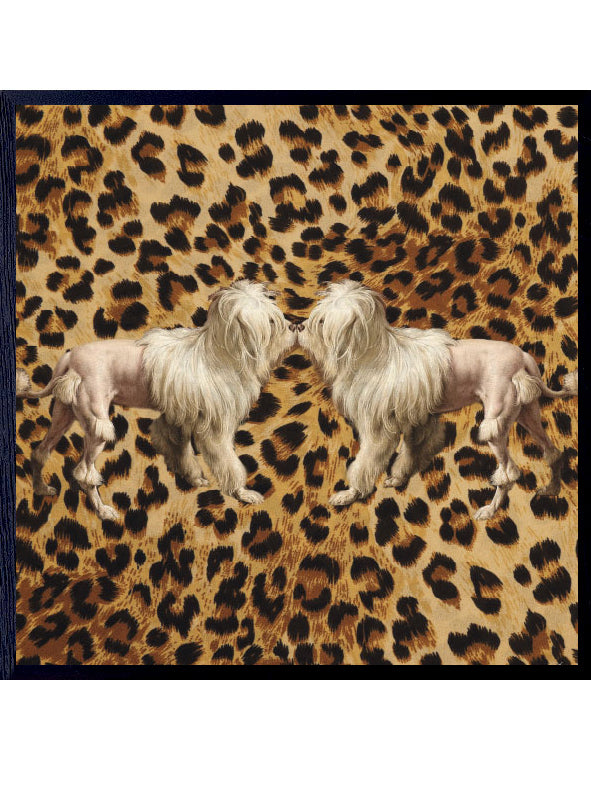 PLAKATER, vanillafly, vanillaflydk, gallerivæg, retrotryk, retroplakater, plakater, flotteplakater, artprints, designprint, billedvæg, flotteplakater, kunst, kunsttryk, gallerikunst, vægkunst, plakatertilsalg, posters, poster, retroposter, retro, art, artprints, artprint, interior, interiordesign, galleryart, botanicalposter, botanicalillustration, gallerywall, wallart, botanicalprint, botanicalart, homedecor, tropicalprint, tropicalart, floralprint, floralart, floralprints, walldecor, artwork wallspace, st