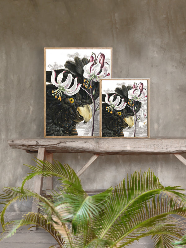 PLAKATER, vanillafly, vanillaflydk, gallerivæg, retrotryk, retroplakater, plakater, flotteplakater, artprints, designprint, billedvæg, flotteplakater, kunst, kunsttryk, gallerikunst, vægkunst, plakatertilsalg, posters, poster, retroposter, retro, art, artprints, artprint, interior, interiordesign, galleryart, botanicalposter, botanicalillustration, gallerywall, wallart, botanicalprint, botanicalart, homedecor, tropicalprint, tropicalart, floralprint, floralart, floralprints, walldecor, artwork wallspace, st