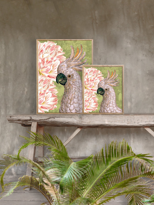 PLAKATER, vanillafly, vanillaflydk, gallerivæg, retrotryk, retroplakater, plakater, flotteplakater, artprints, designprint, billedvæg, flotteplakater, kunst, kunsttryk, gallerikunst, vægkunst, plakatertilsalg, posters, poster, retroposter, retro, art, artprints, artprint, interior, interiordesign, galleryart, botanicalposter, botanicalillustration, gallerywall, wallart, botanicalprint, botanicalart, homedecor, tropicalprint, tropicalart, floralprint, floralart, floralprints, walldecor, artwork wallspace, st