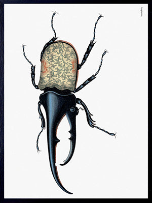 PLAKATER, vanillafly, vanillaflydk, gallerivæg, retrotryk, retroplakater, plakater, flotteplakater, artprints, designprint, billedvæg, flotteplakater, kunst, kunsttryk, gallerikunst, vægkunst, plakatertilsalg, posters, poster, retroposter, retro, art, artprints, artprint, interior, interiordesign, galleryart, botanicalposter, botanicalillustration, gallerywall, wallart, botanicalprint, botanicalart, homedecor, tropicalprint, tropicalart, floralprint, floralart, floralprints, walldecor, artwork wallspace, st