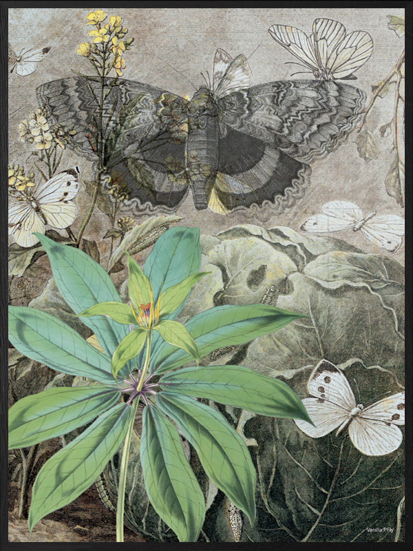 PLAKATER, vanillafly, vanillaflydk, gallerivæg, retrotryk, retroplakater, plakater, flotteplakater, artprints, designprint, billedvæg, flotteplakater, kunst, kunsttryk, gallerikunst, vægkunst, plakatertilsalg, posters, poster, retroposter, retro, art, artprints, artprint, interior, interiordesign, galleryart, botanicalposter, botanicalillustration, gallerywall, wallart, botanicalprint, botanicalart, homedecor, tropicalprint, tropicalart, floralprint, floralart, floralprints, walldecor, artwork wallspace, st