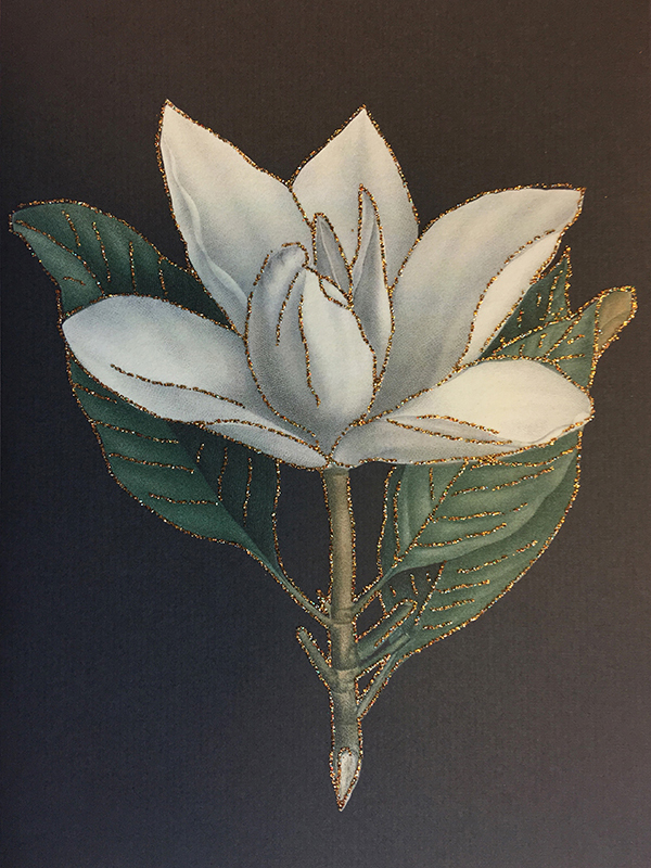 A5 Kort - Magnolia grandiflora #CARD45