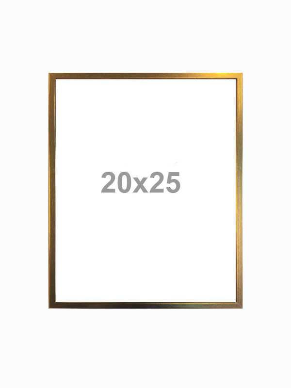Frame - gold finish - 20x25 #10R17
