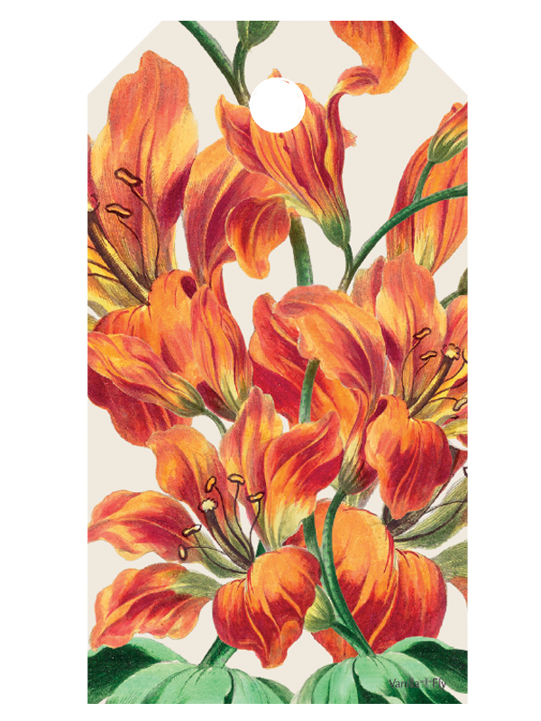 Gift tag - flower line - WAR62D (10 pack- 10 pcs of same design)