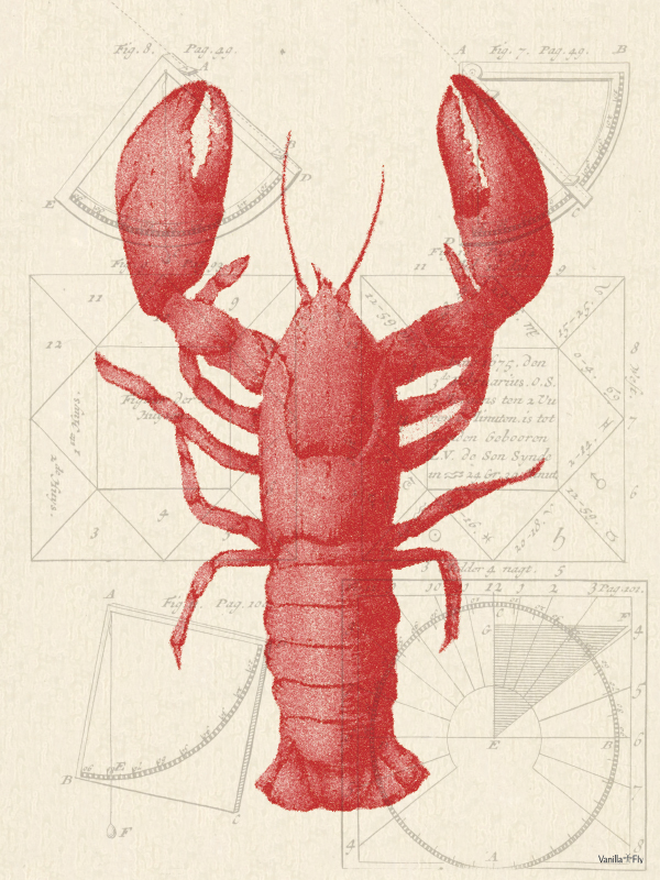 Plakat - Lobster #PSC300