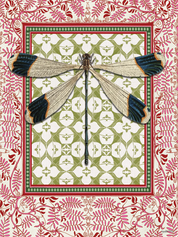 Plakat - Indian dragonfly #PSC301