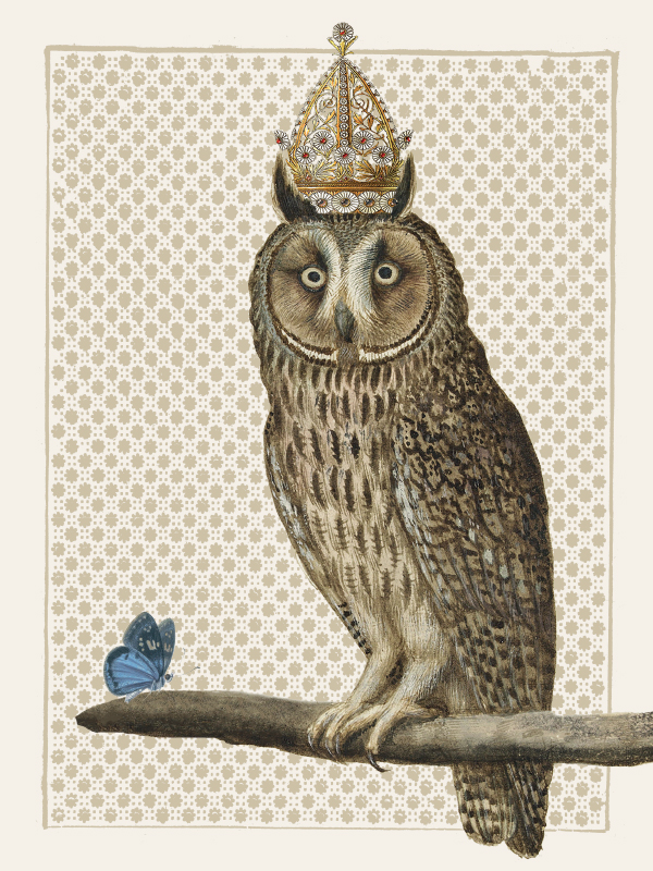 Plakat - King owl #PSC307