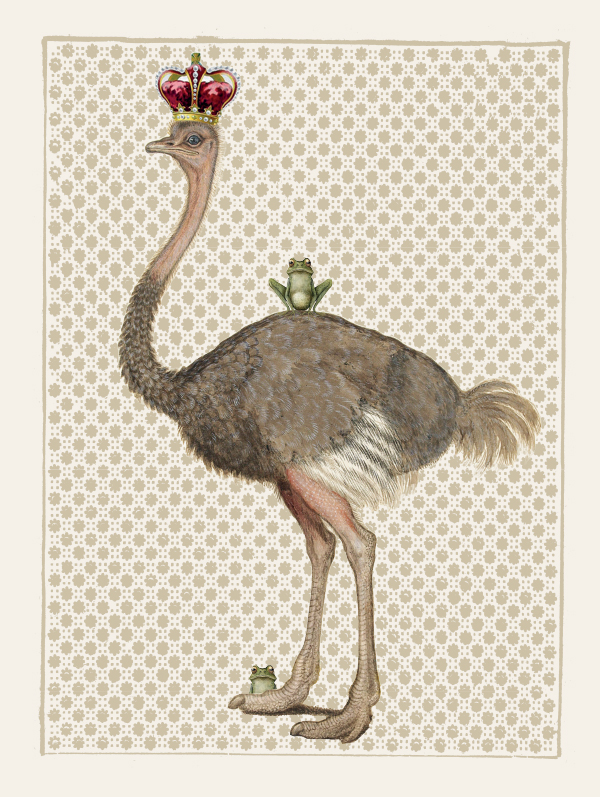 Plakat - Ostrich #PSC308