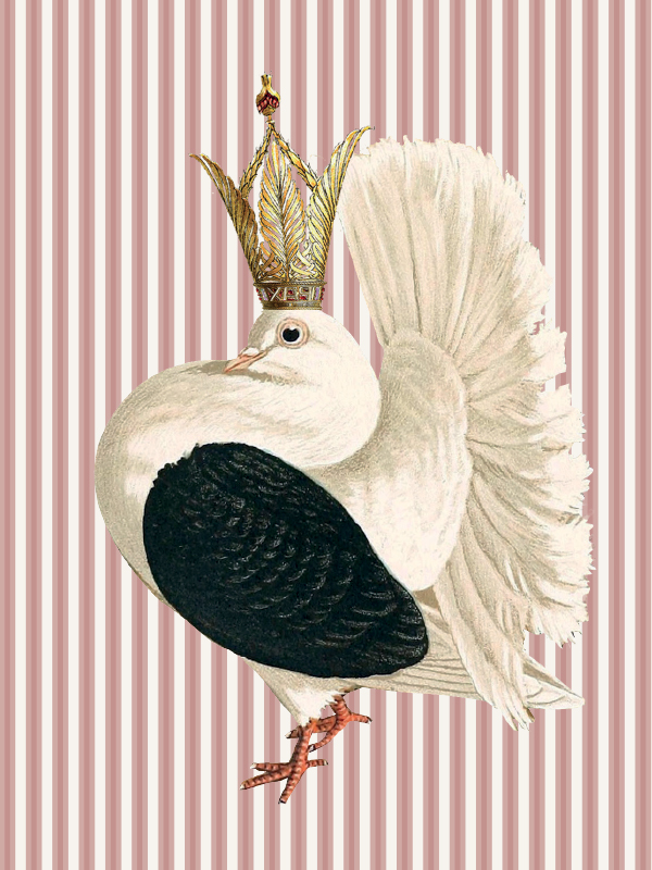 Plakat - Queen dove #PSC309